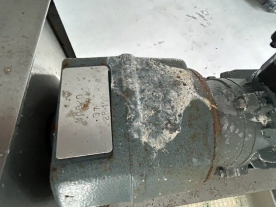 High level Stainless Steel Conveyor Pic 07